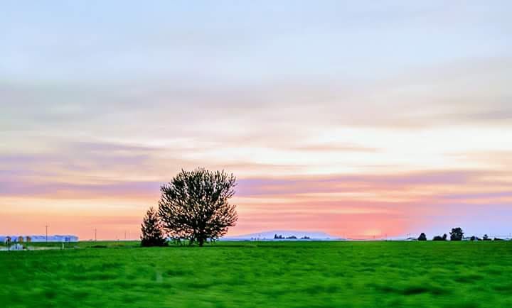 Chasing Sunsets