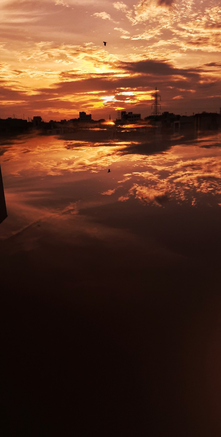 Reflection