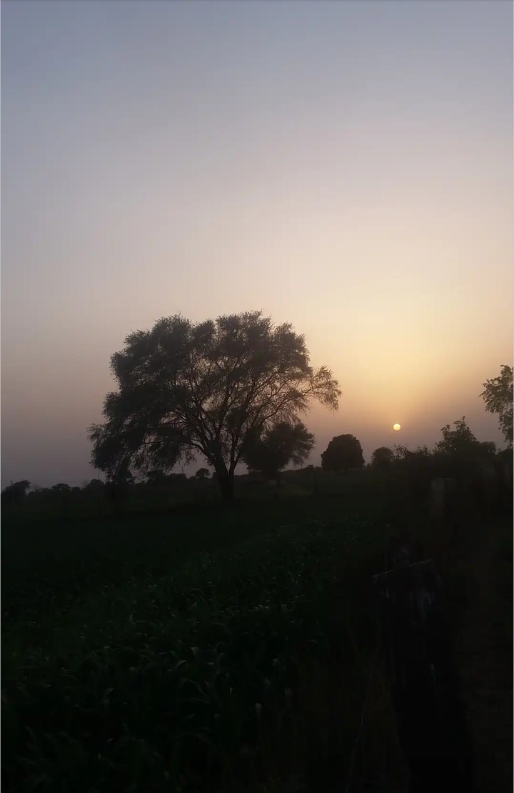evening#night