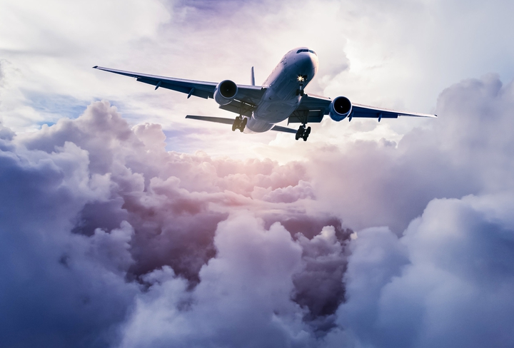 Fly,  up to the Sky