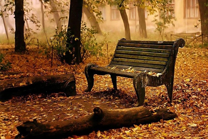Alone