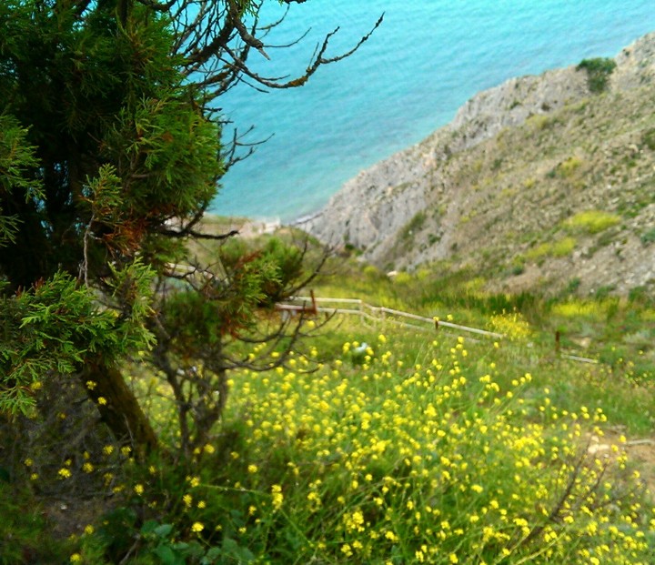 #sea#mountain