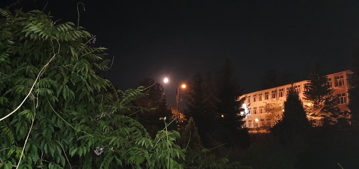 noc z księżycem