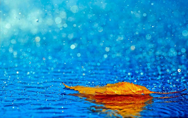 rainy