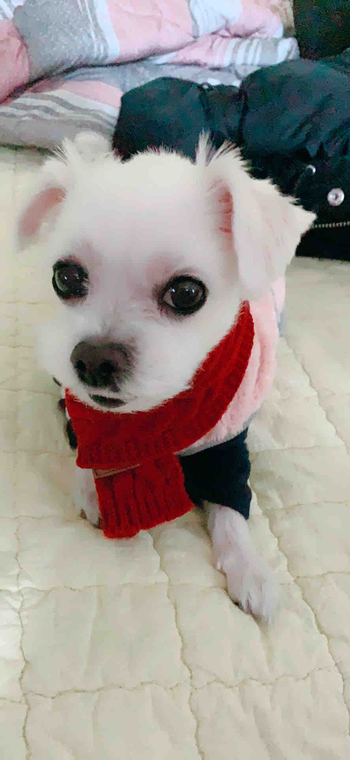 유치원가요~