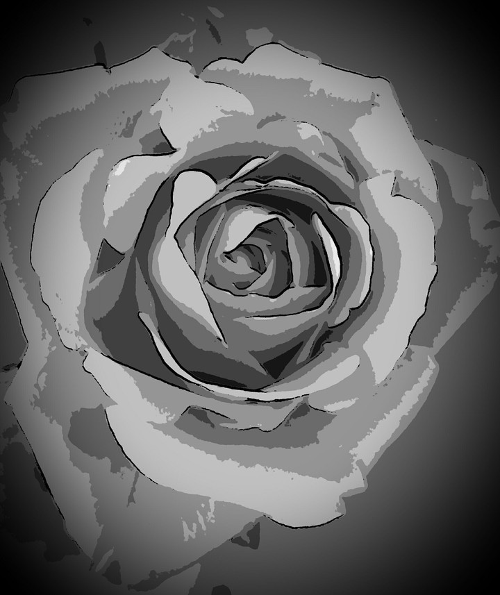 Gothic Noir Rose