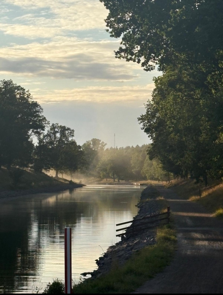 тапети watercourse, branch