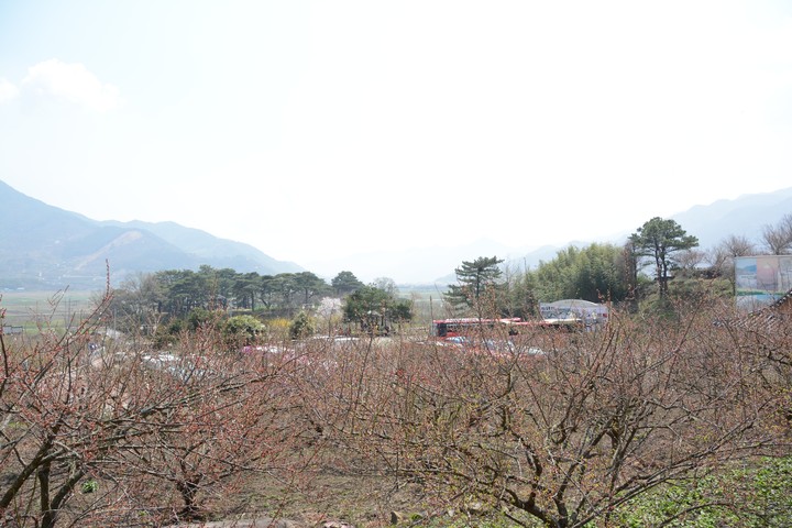 하동이미지