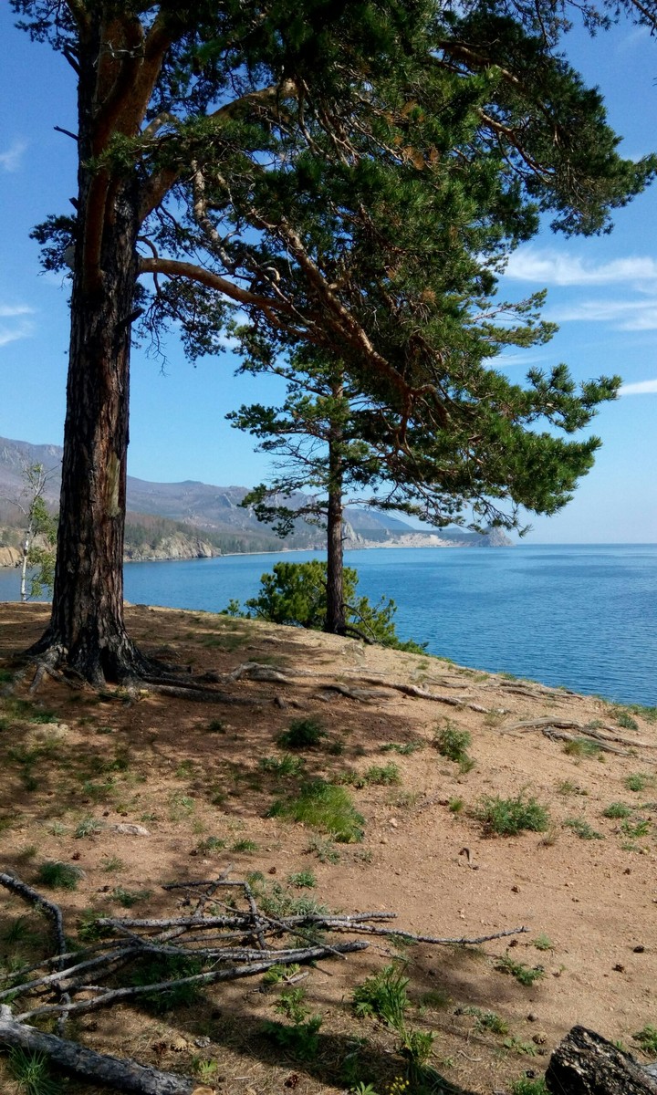 Baikal