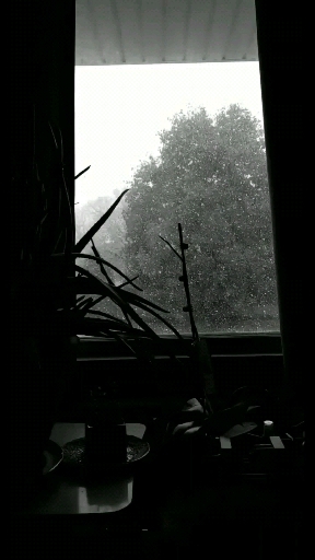 Snowy Day