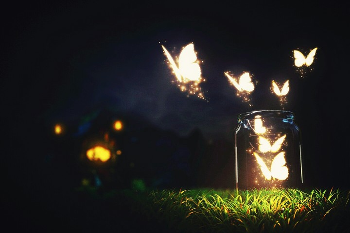 Nature that shines