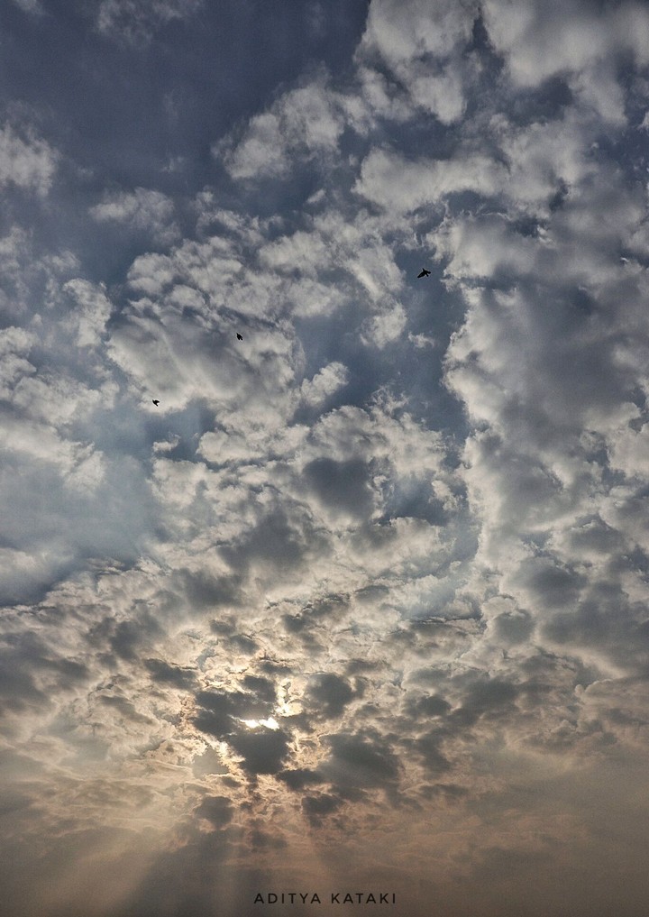 Sunrays