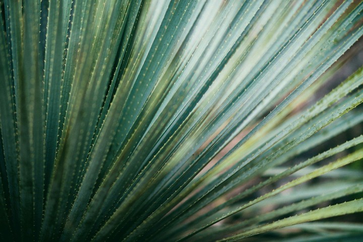 #Abstract