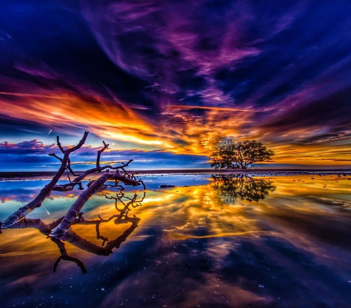sunset