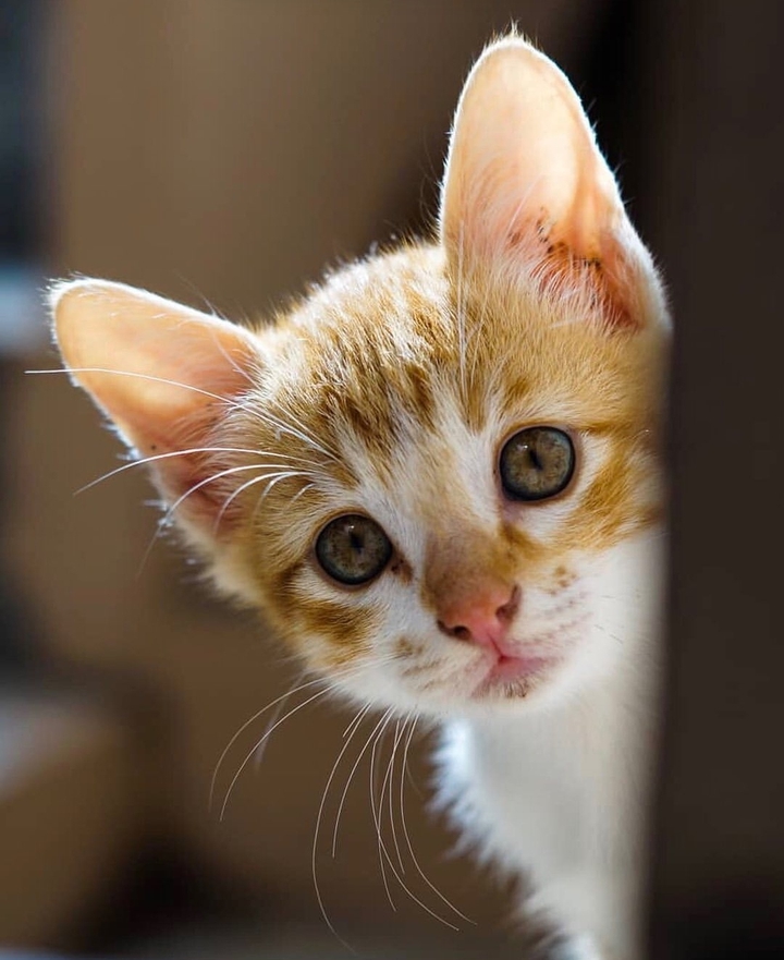 ☺️☺️☺️