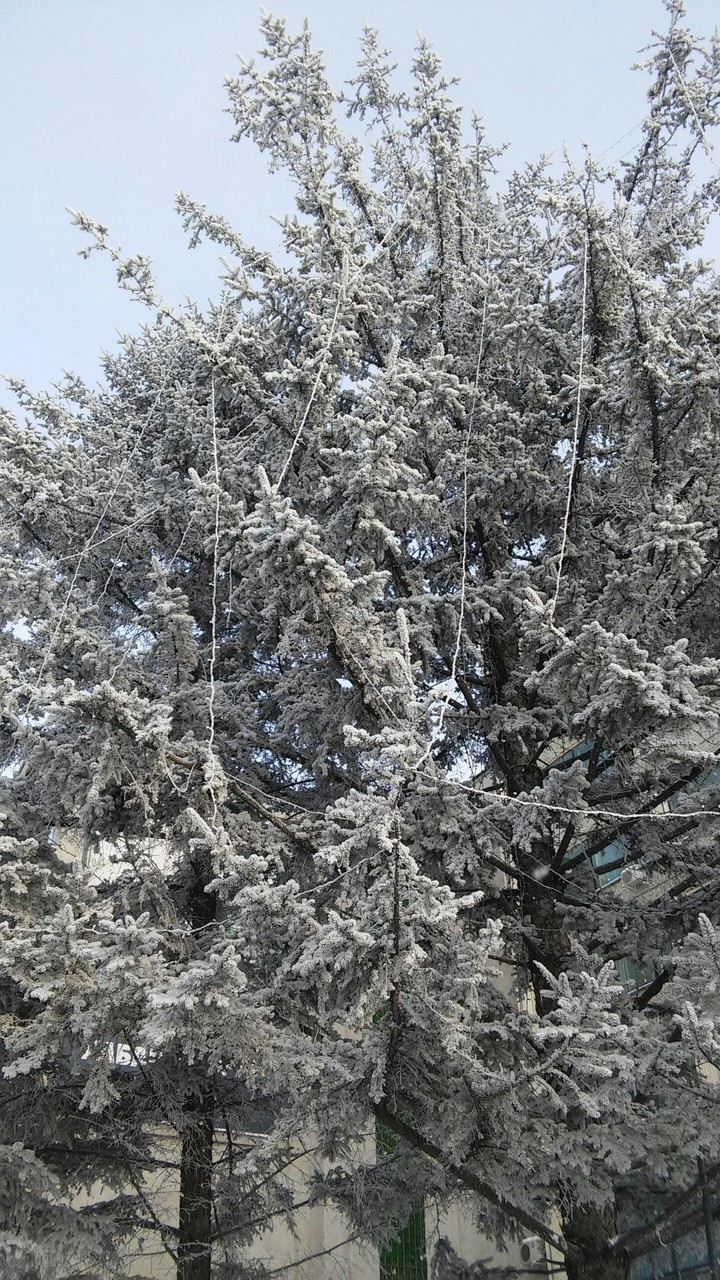 ❄