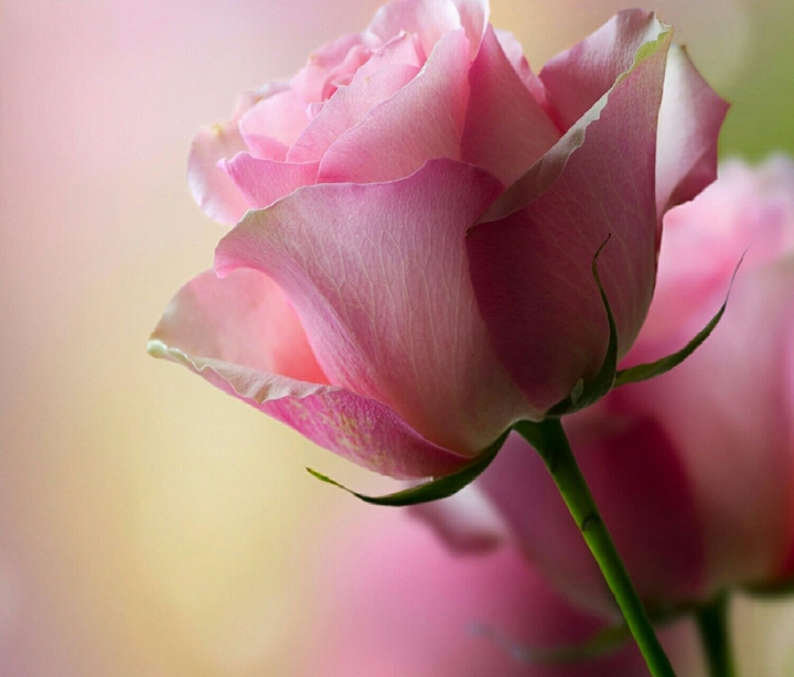 gorgeous!!.
