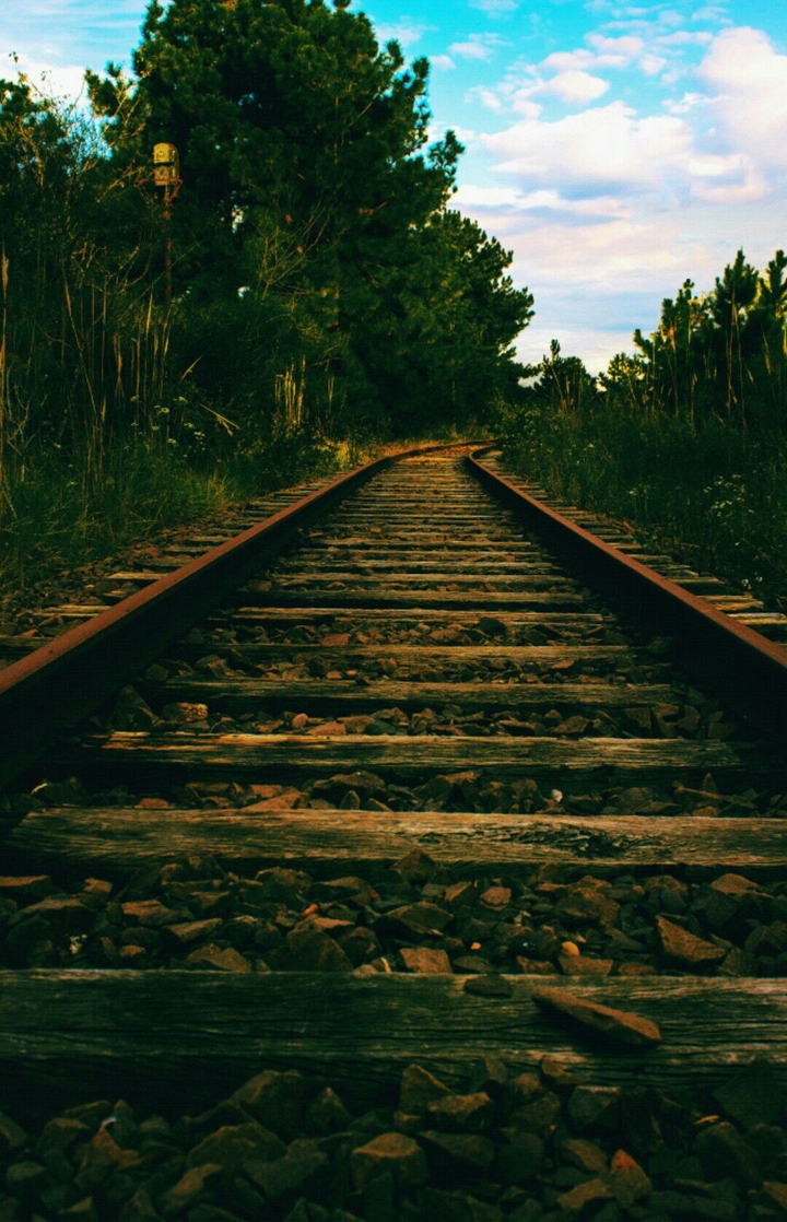 vías del tren