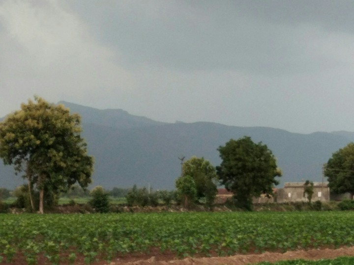 Bharat