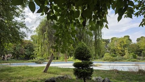 Tree, Natural_environment, Grass