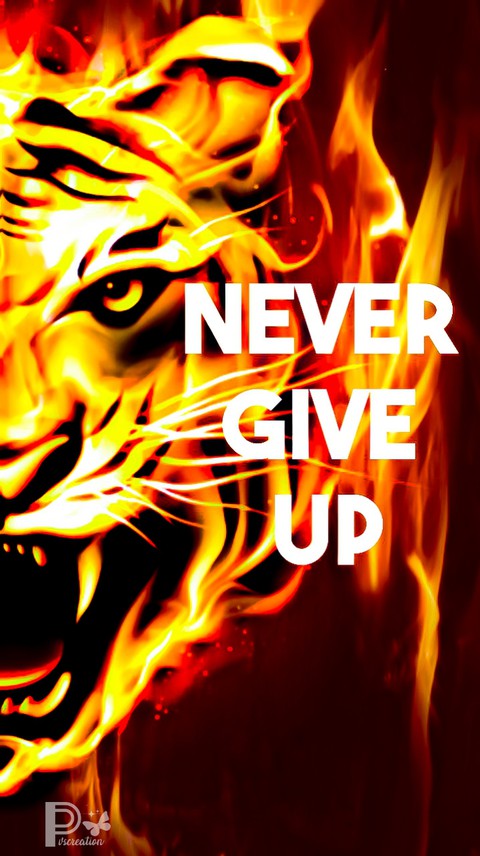 Never Give Up My Dearest Lucila(•̀ᴗ•́)و ̑̑
