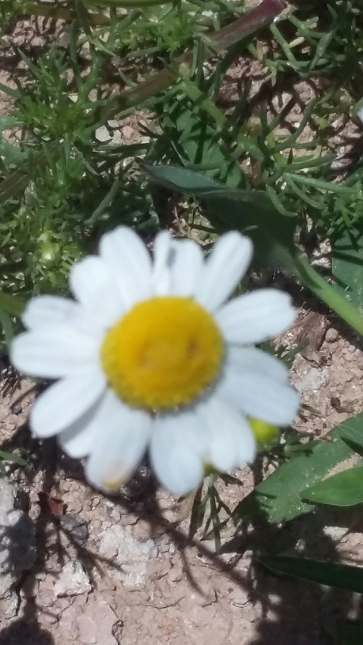 ;)