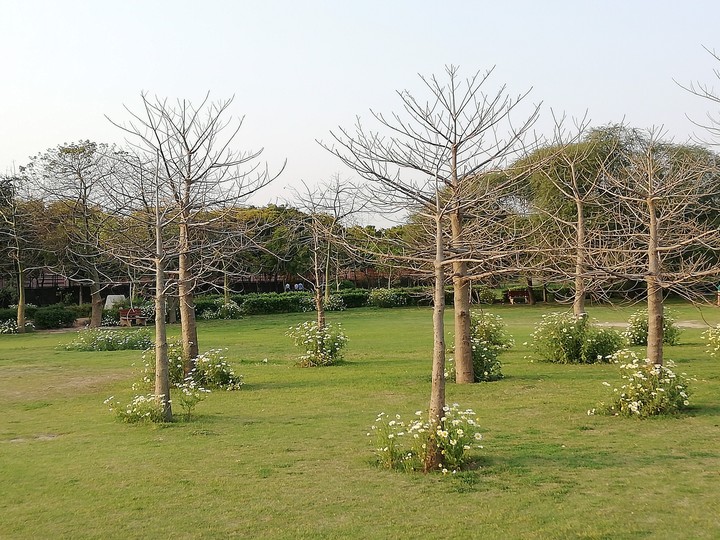 Beautiful Spring Image