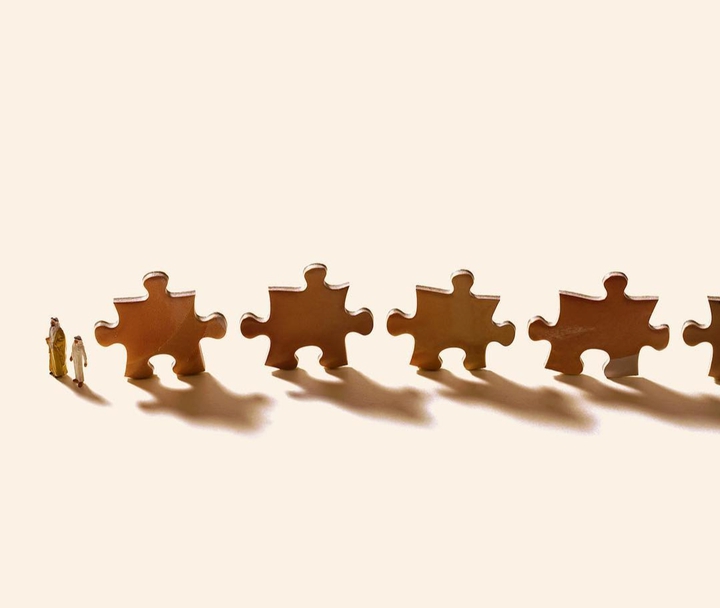 PUZZLE CAMELS