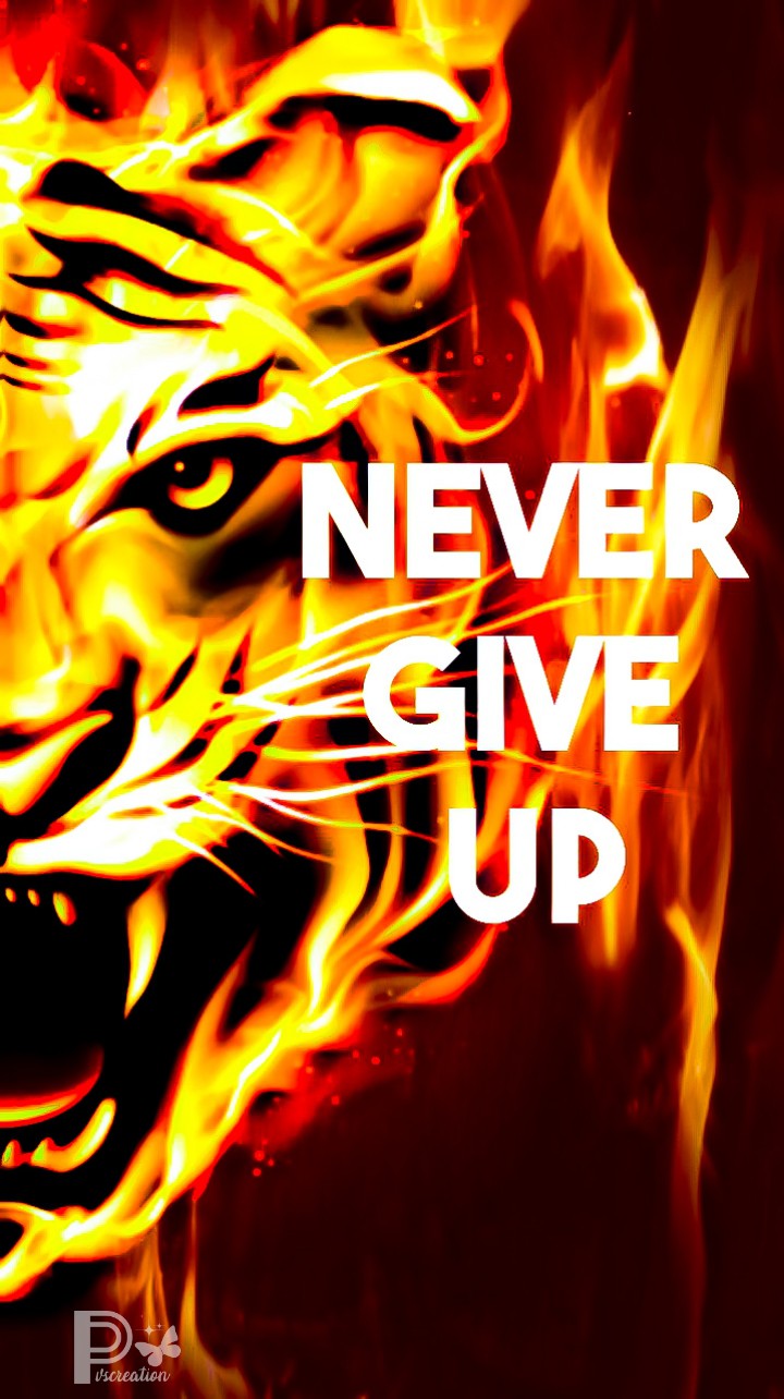 Never Give Up My Dearest Lucila(•̀ᴗ•́)و ̑̑