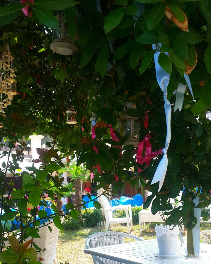 tree