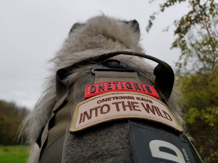 Into the wild.