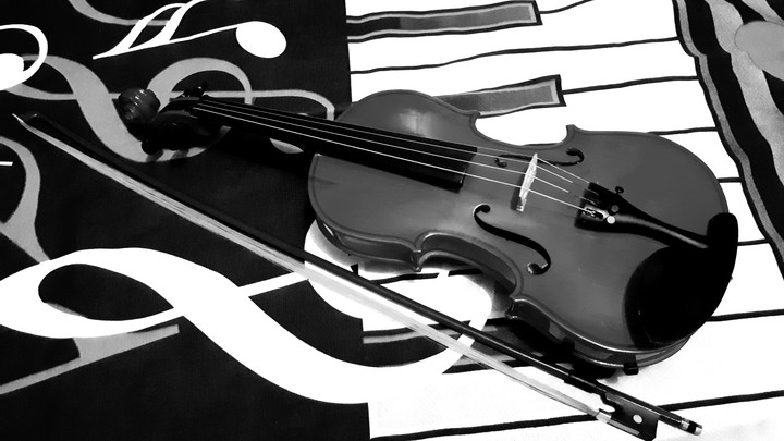 violino