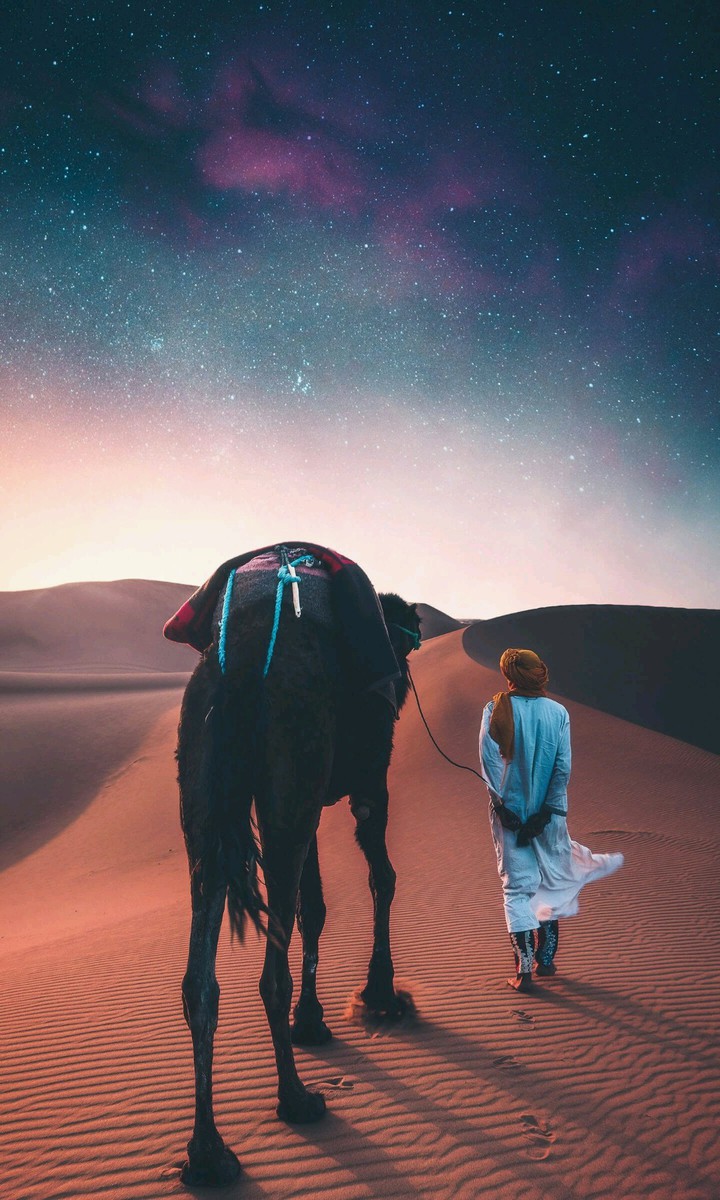 Línea del desierto beduino