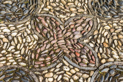 fonds d'écran plant, pattern