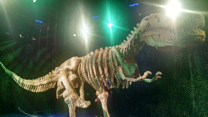 Dinosaur Skeleton