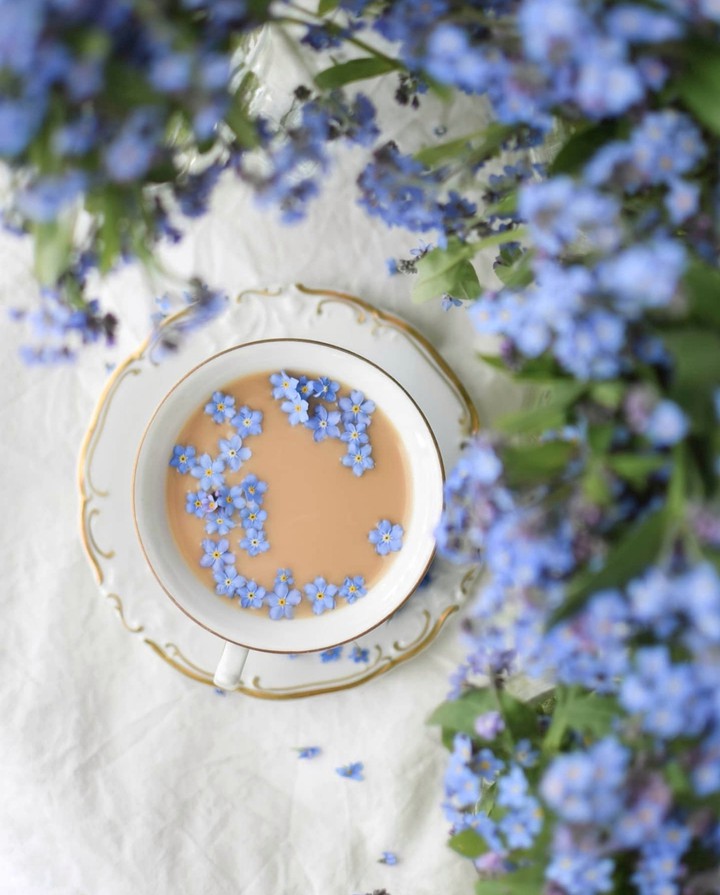 Forgetmenot