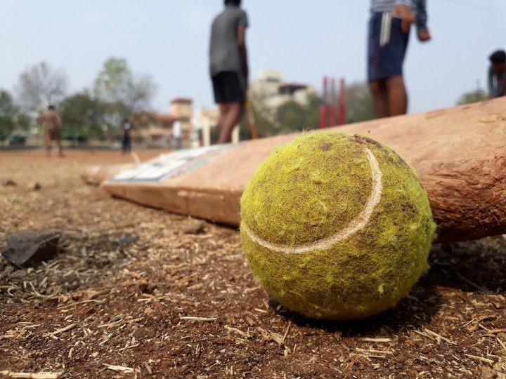 It's  cricket time