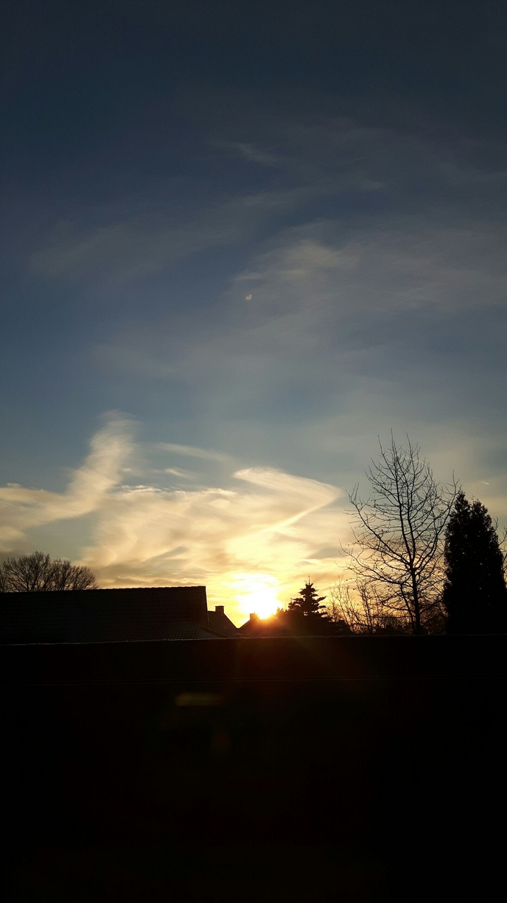 Cold morning