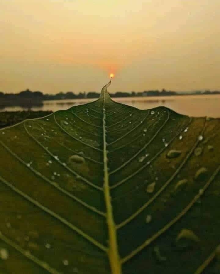 The road to the sun, when the photographer is created