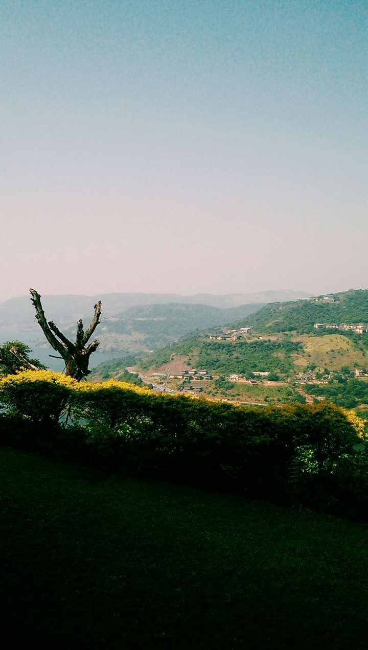 Nature
