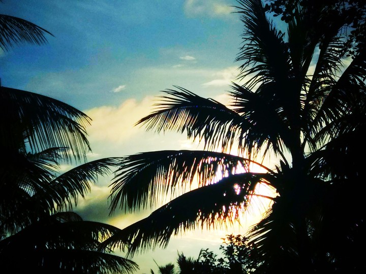 summer