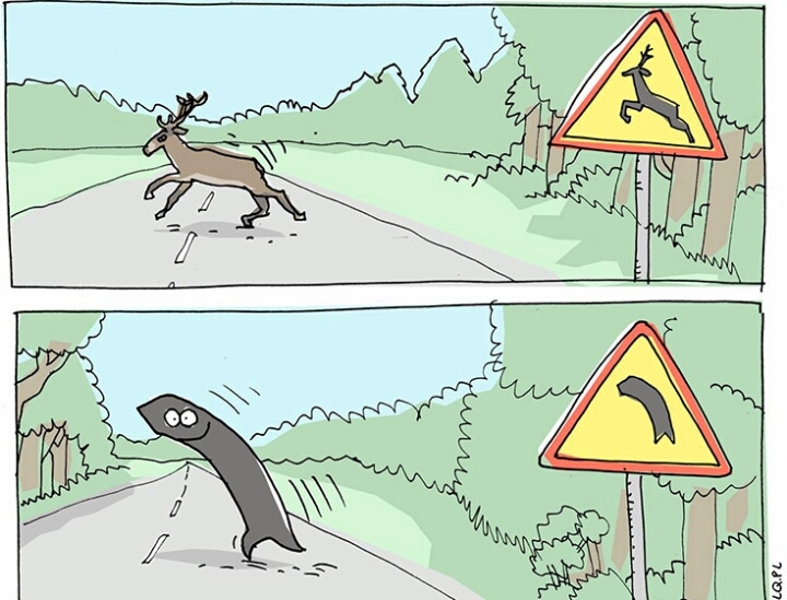 jokes