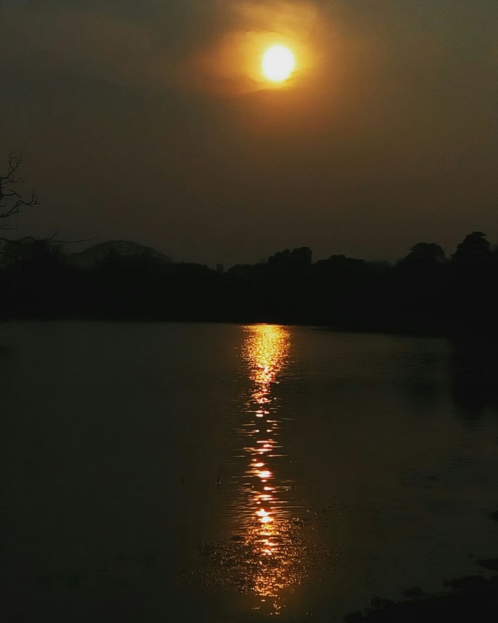 golden reflection
