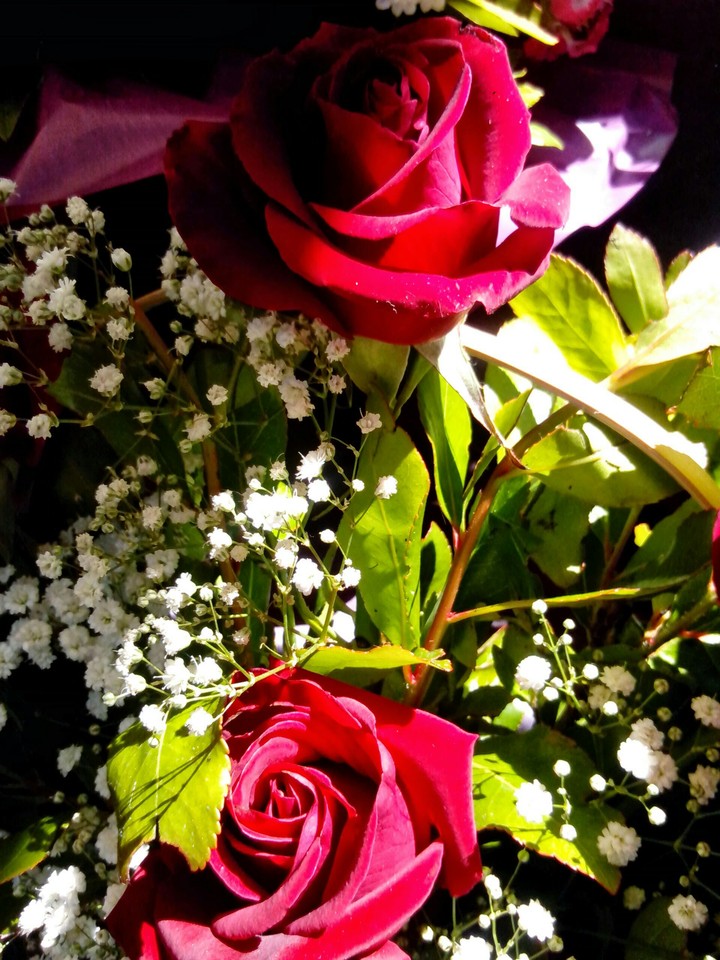 flowers