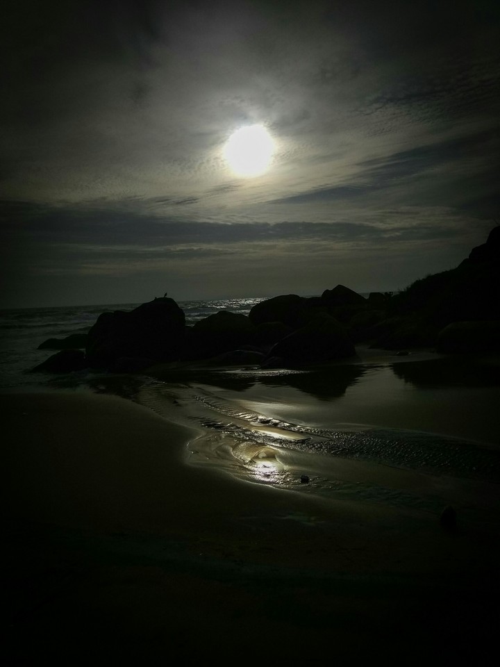 Kovalam Beach