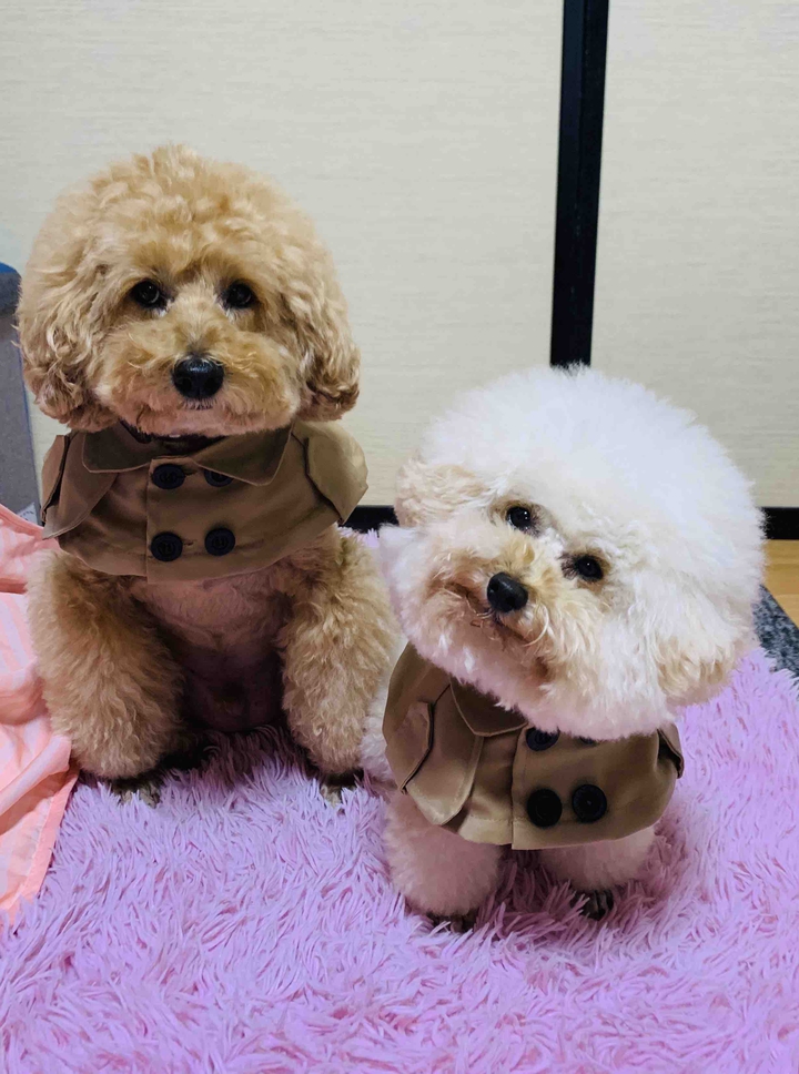 Lucky & Money