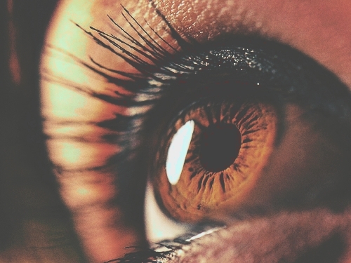 Brown eye