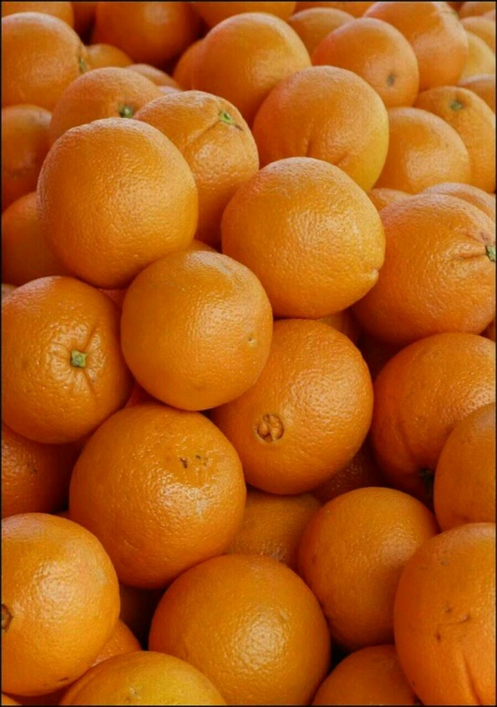 Orange Fruit