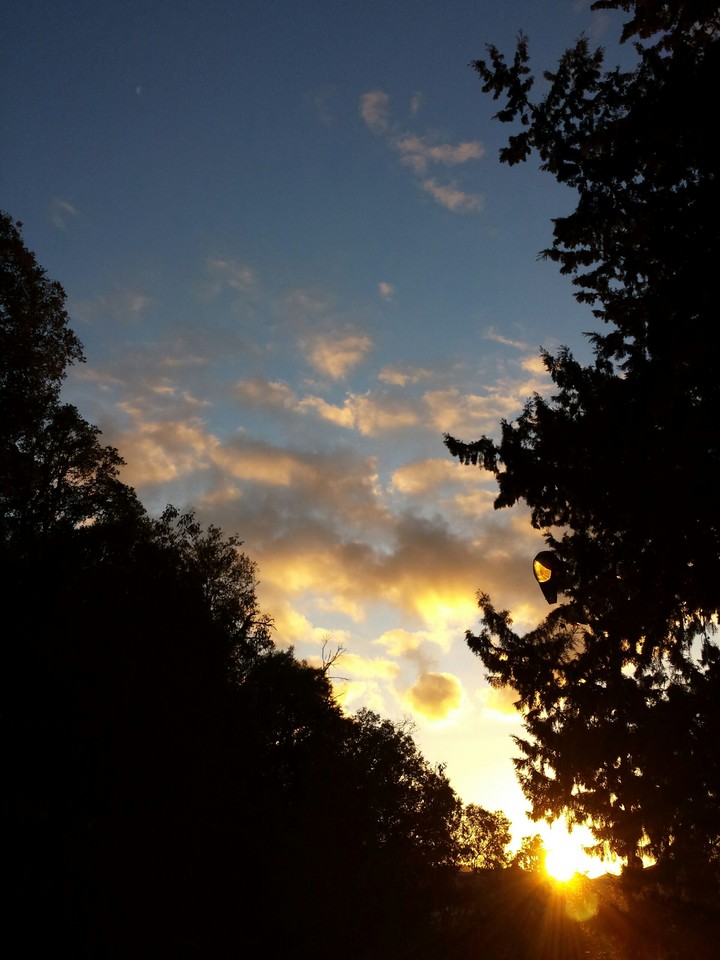 Sunrise