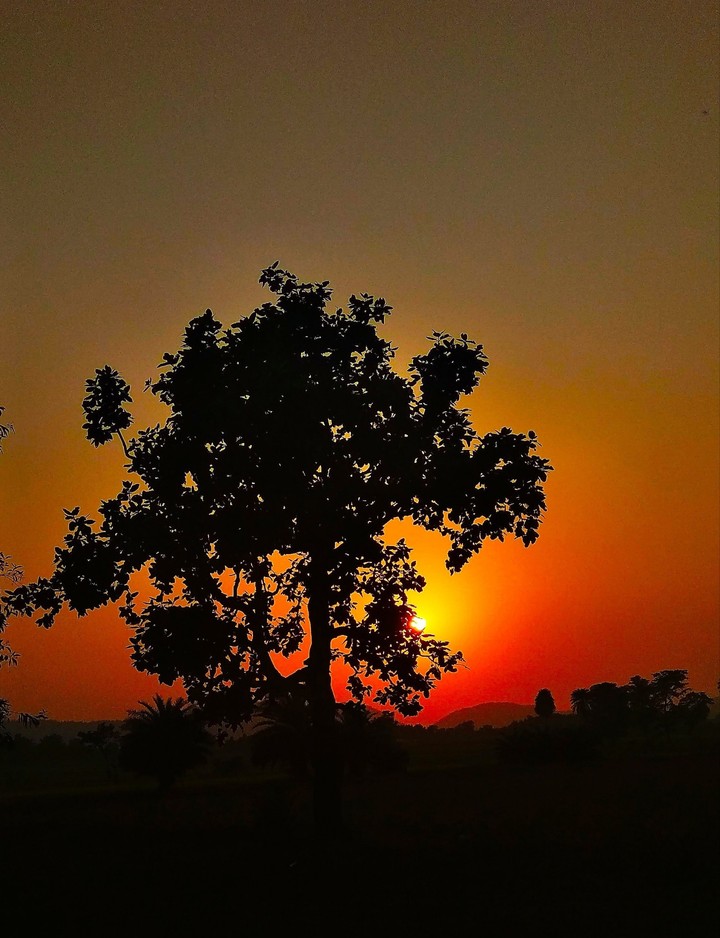 the last Sunlight on Earth